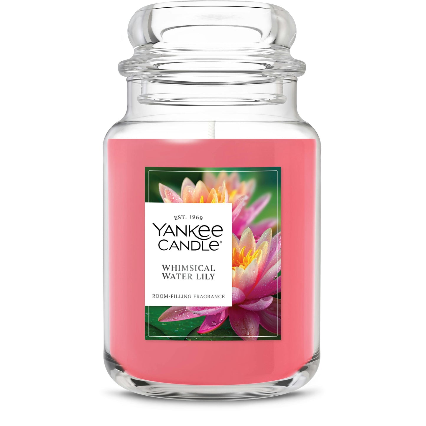 Whimsical Water Lily 2733