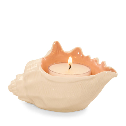 Seashell Tea Light Candle Holder DSQ9