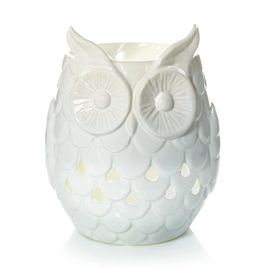 Owl 3TB6