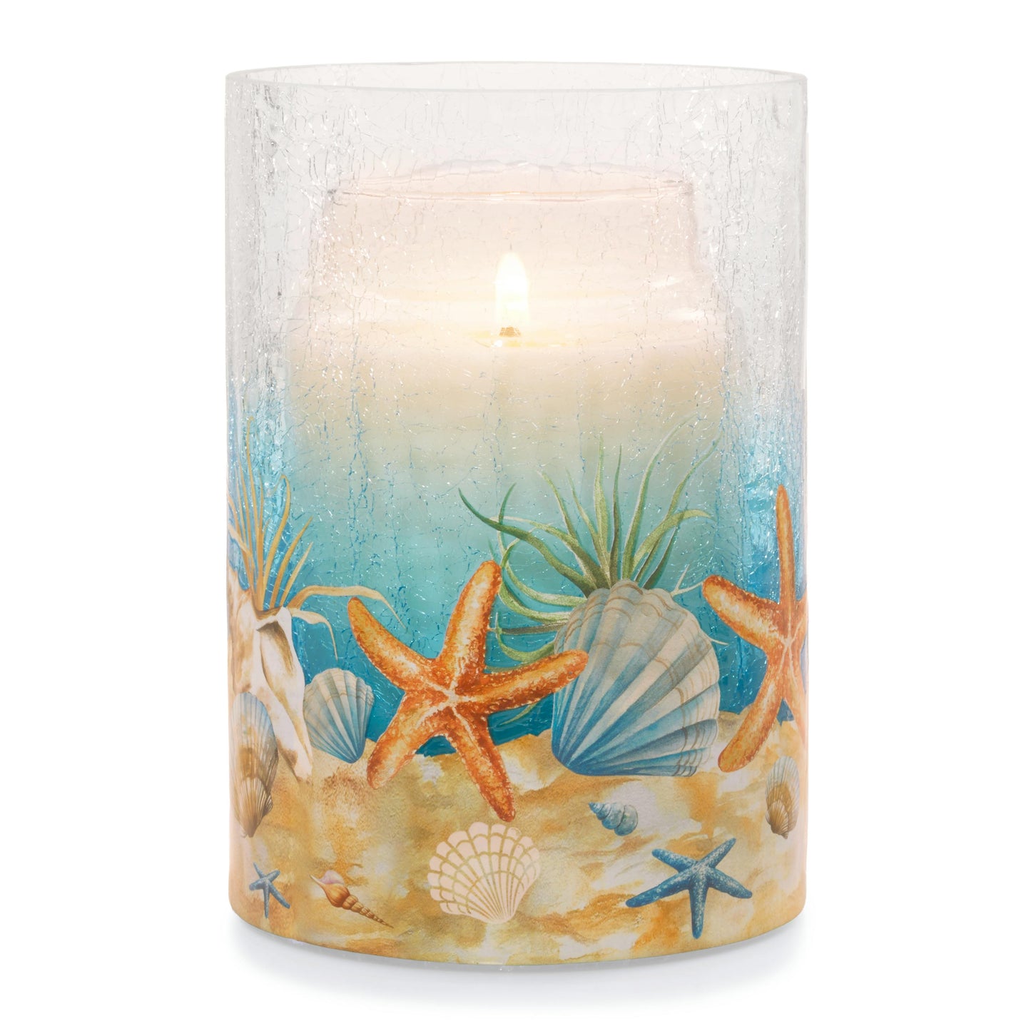 Coastal Jar Candle Holder 4MGS
