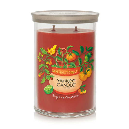 Sun Gold Tomato - Tangy Lime · Tomato Vine N0W1