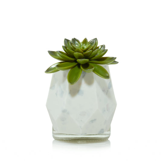 Faceted Succulent ScentPlug® Diffuser with Light MGEP
